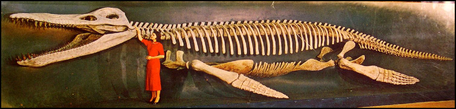 kronosaurus.history.jpg