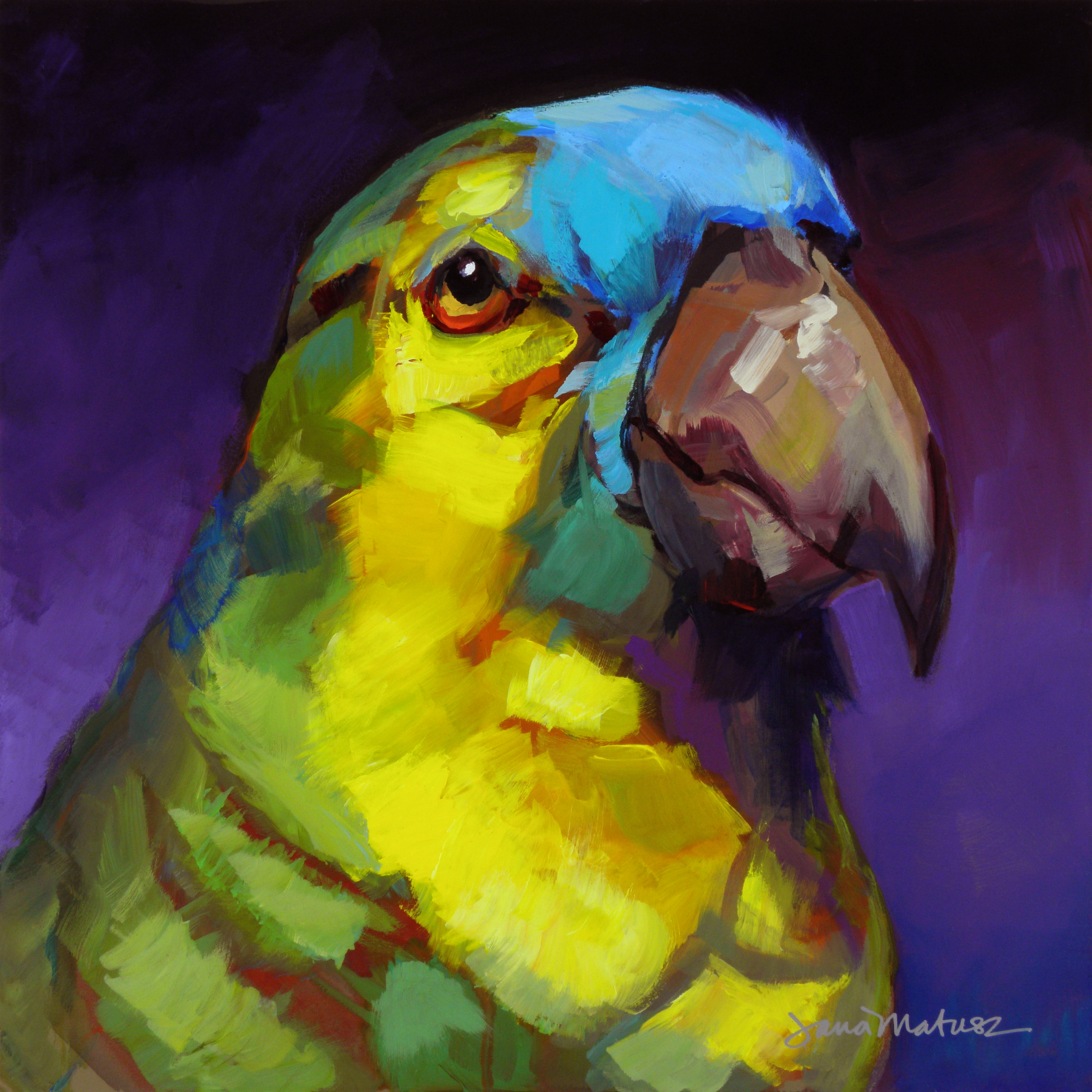 Painting of a Turquoise-Fronted Amazon.
