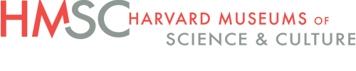 harvard museums of science and culture logo.