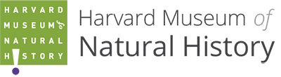 Harvard Museum of Natural History green logo