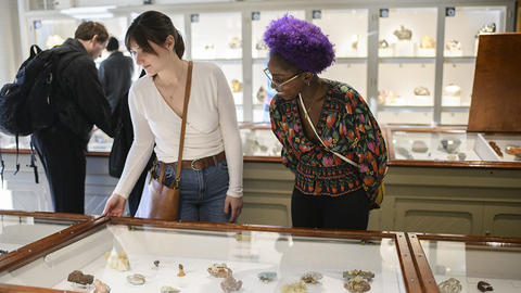 people looking at mineral specimens with more behind them on the wall.