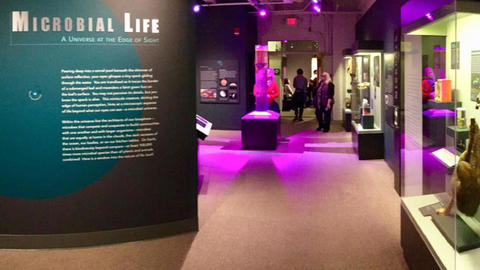 microbial life exhibit entrance with glowing microbial growth cylinder.