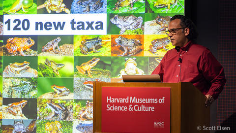man at hmsc podium in front of screen with many colorful frogs.