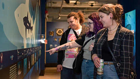 Guests enjoying the gallery.