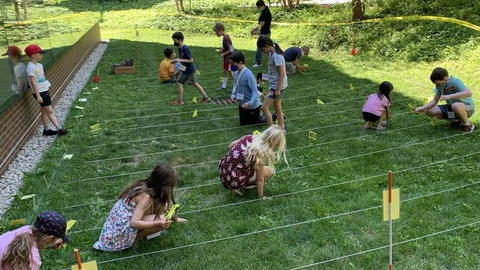 Children look closely in marked grassy lanes outside.