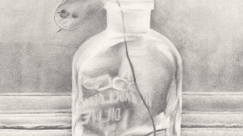 A pencil still life sketch of a plant in a clear glass jar.
