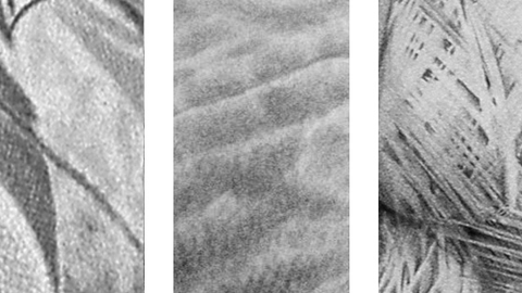A triptych of pencil sketches showcasing shading techniques.
