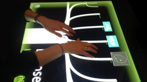 hands on tree of life interactive display.