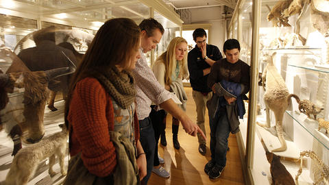 College visit in the museum