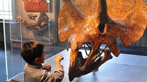 boy points at triceratops fossil in gallery.