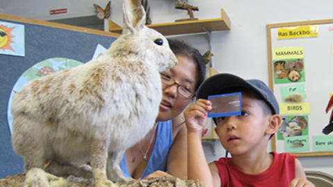 boy and adult look at mounted rabbit specimen with special lens in classroom.
