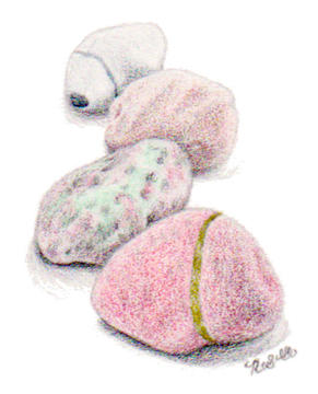 Illustration of four stones, demonstrating techniques of depth and shadow.