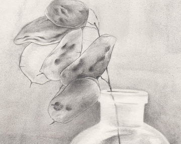black and white drawing of a flower in a vase.