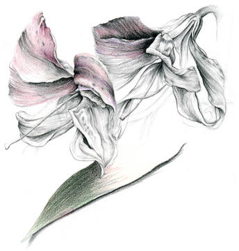 image002.jpg