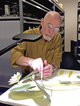 Scott Fulton carefully fixing a delicate glass flower model.