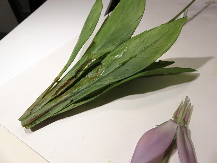 A glass flower with signs of discoloration due to aging glue.