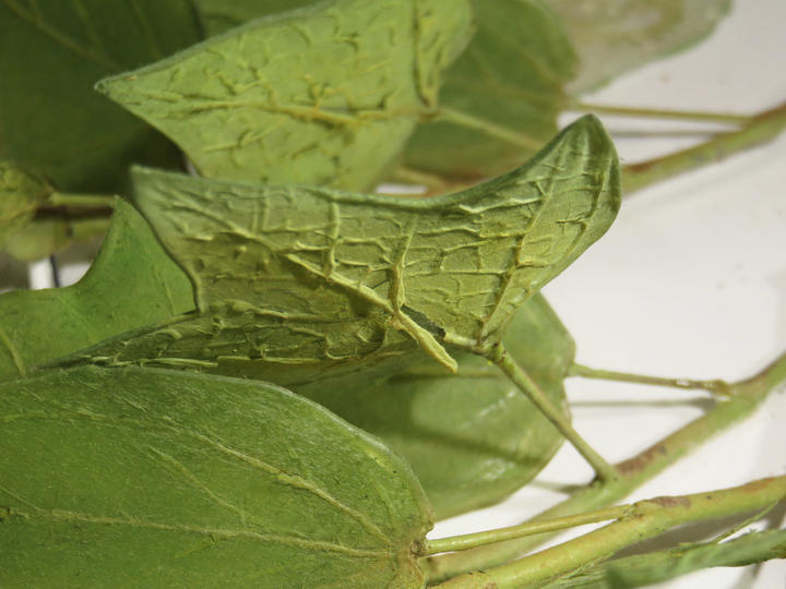 A glass flower showing veins lifting from a glass leaf.