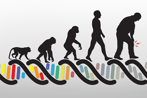 Apes evolving into men on top of a DNA strand.