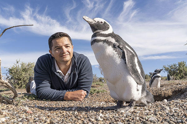 Pablo Borboroglu observing a penguin
