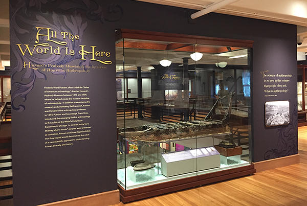 Gallery photo of All the World is Here at the Peabody Museum