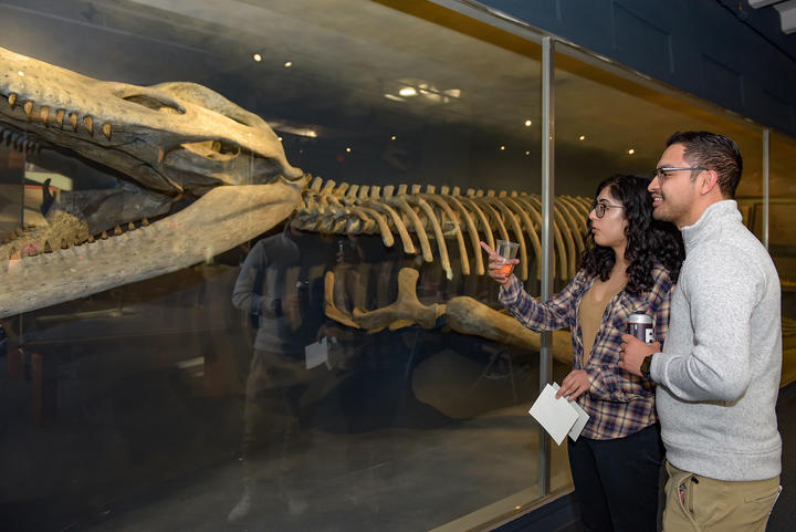 Two people looking at a kronosaurus