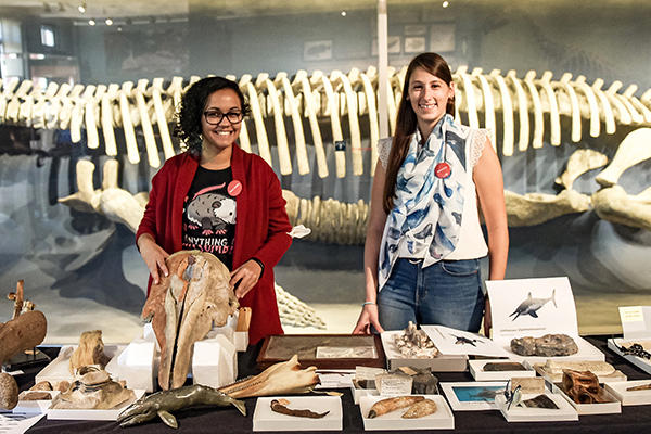 Two Scientists Presenting a Wide Variety of Fossils