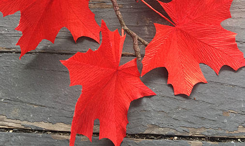 Red Leaves.