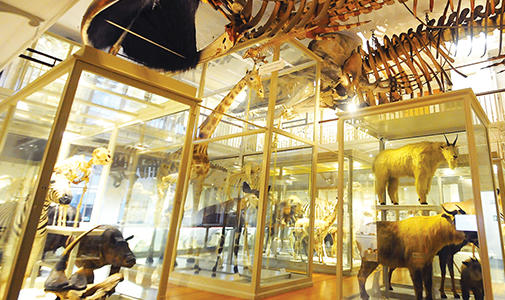 Great Mammal Hall image for A Night of Song Event
