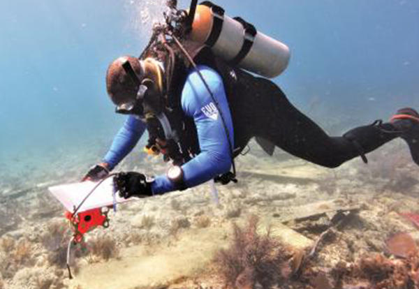 Man with scuba equipment diving in the ocean.