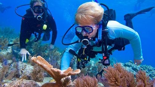 lubchenco.scuba_.jpg