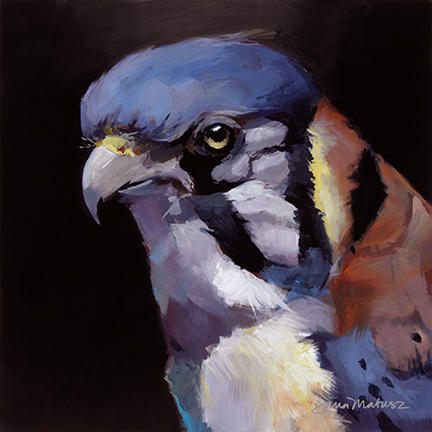 Painting of an American Kestrel.