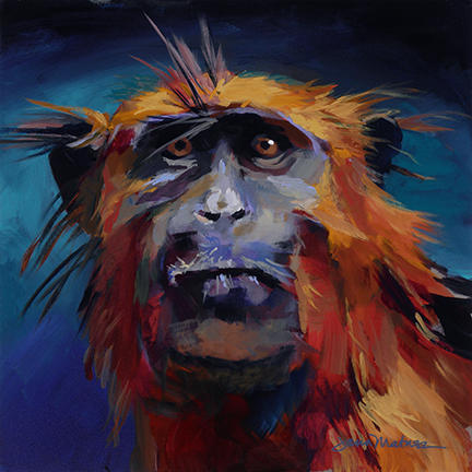 Painting of a Western Red Colobus.