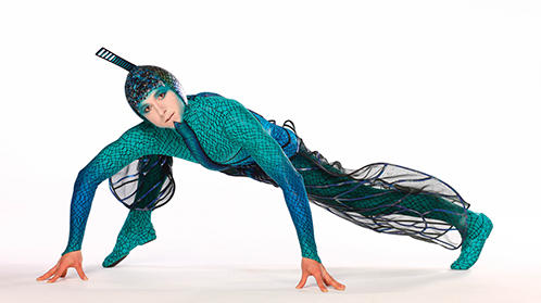 Photo of Cirque du Soleil performer in a dragonfly costume