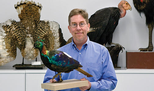 Richard Prum The Evolution of Beauty: How Darwin's Forgotten Theory of Mate Choice ...
