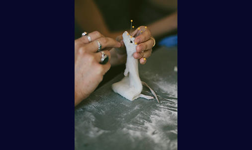 Rat Taxidermy