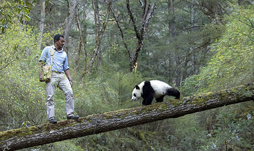 sanjahan_panda_lecture.jpg