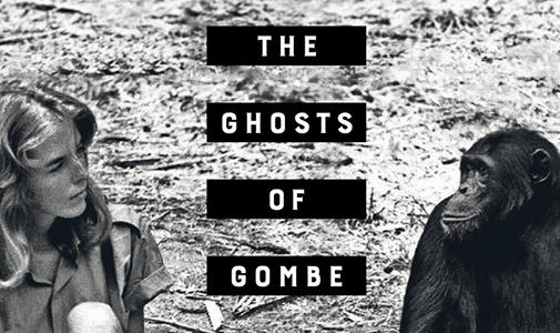 Image for The Ghosts of Gombe lecture with Dale Peterson