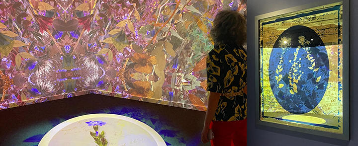 On the left a woman viewing a video installation and to the right a cyanotype on glass.