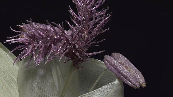 Purple Glass Flower