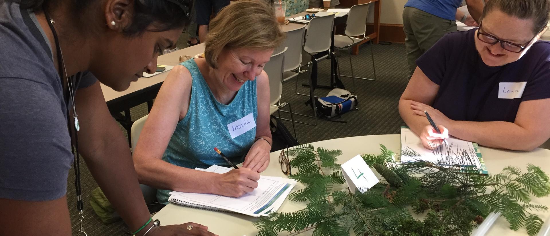 Teachers taking notes near a plant inside a classroom