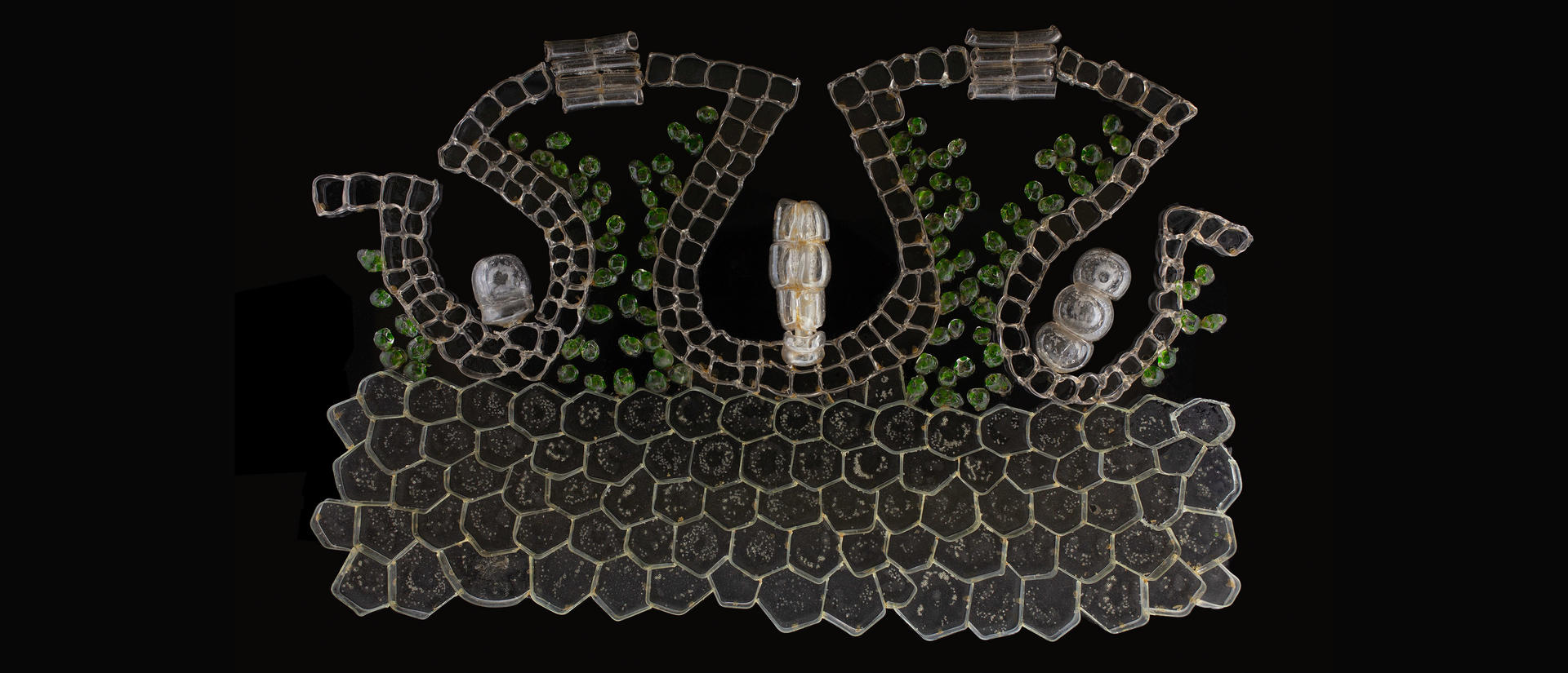 Glass model of Marchantia