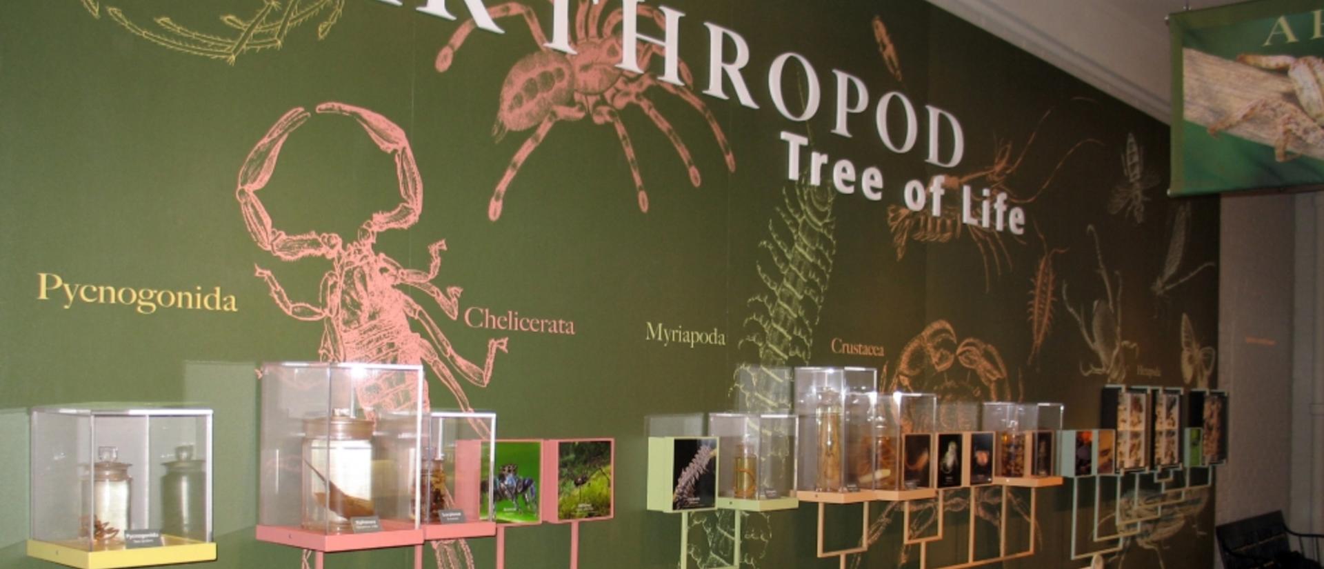 arthropods_1.jpg