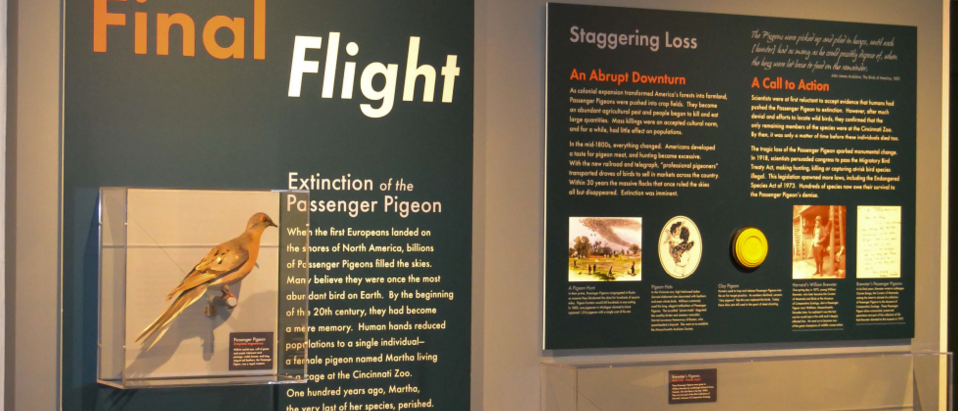 finalflight-2.png