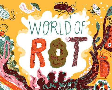 Cover of the book "World of Rot" which features an illustration of a mushroom and bugs.