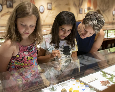 A woman and two girls look at glass flowers in the gallery.