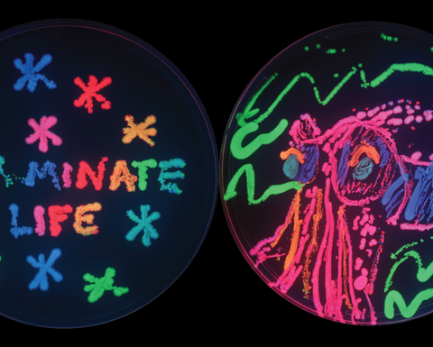 A petri dish showing bioluminescence, reading 'Illuminate Life'.
