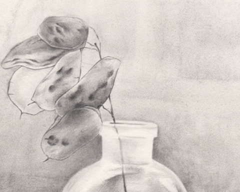 A still life sketch of a plant in a vase.
