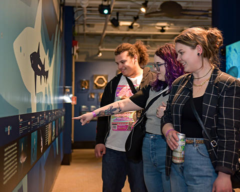 Guests enjoying the gallery.