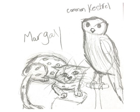 A pencil sketch of two animals.