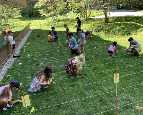 Children look closely in marked grassy lanes outside.